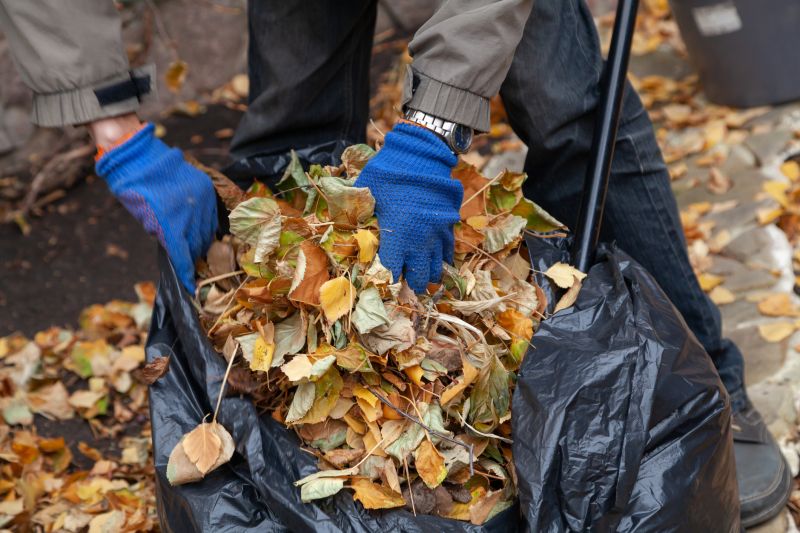 Clearing Leaves from Garden Beds