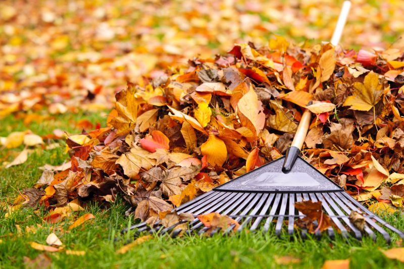 Professional Fall Yard Cleanup